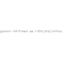 Recombinant IAV H3N2 Hemagglutinin / HA Protein (aa 1-530) [His] (A/Wisconsin/67/2005) (HEK293 Cells)
